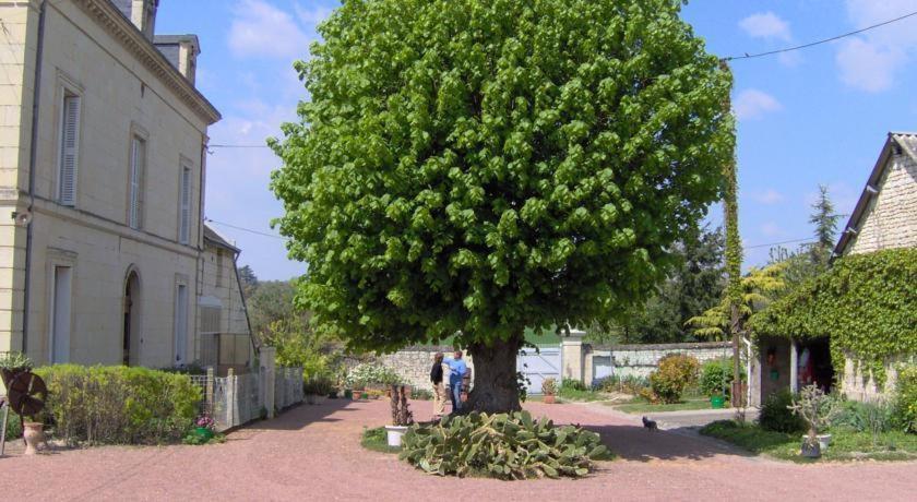 Villa Les Roulottes De Cuzay Roiffé Habitación foto